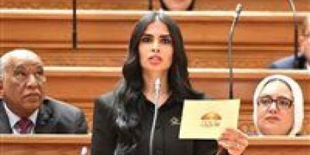 النائبة هايدي المغازي تتقدم بطلب إحاطة بشأن هيكل أجور أعضاء هيئة التدريس بالجامعات الحكومية -  أقرأ 24
