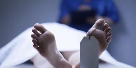 جثة في الغابة وملابسات غامضة.. القصة الكاملة لمقتل المصري أحمد دهب في ألمانيا - أقرأ 24