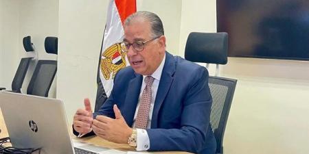 نبيل حبشي: المصريون بالخارج شركاء في التنمية والدولة تذلل العقبات أمام استثماراتهم - أقرأ 24