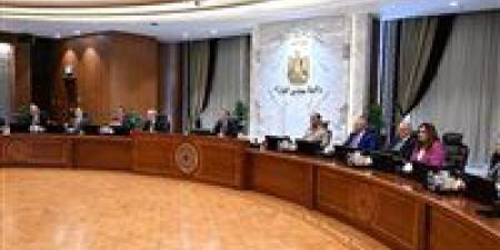 الوزراء: مصر من الدول القليلة التي أعدت وثيقة سياسة ملكية الدولة بالمنطقة والعالم - أقرأ 24