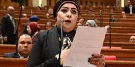 النائبة جيهان شاهين: مشاركة الرئيس عبدالفتاح السيسي في قمة السبع تؤكد مكانة مصر كشريك مؤثر في صياغة مستقبل الاقتصاد العالمي - أقرأ 24