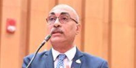 النائب إيهاب منصور: أزمة العدادات الكودية تمس ملايين المواطنين ولا تقتصر على الكهرباء - أقرأ 24