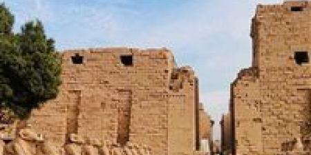 السياحة حول كافيتريا معابد الكرنك الجديدة: أُنشئت بديلاً للكافيتريا القديمة.. ونُفذت وفق المعايير الدولية - أقرأ 24