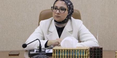 محافظ الوادي الجديد: حلول تضمن استقرار أوضاع أصحاب الأنشطة التجارية - أقرأ 24