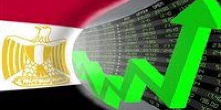 فيتش سولوشنز: توقعات  بتسارع نمو الاقتصاد المصري إلى 4.8% خلال السنة المالية 2025-2026 -  أقرأ 24