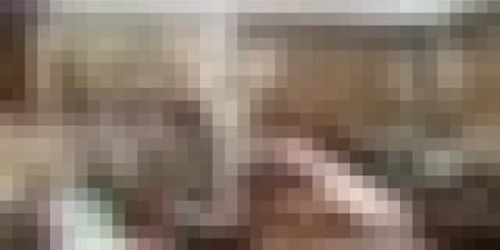 الفريق أول السعيد شنقريحة يشرف على تنصيب رئيس دائرة الاستعمال والتحضير لأركان الجيش الوطني الشعبي - أقرأ 24