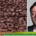 ألكسندر ماسني: النينيو تهدد بتصدعات في المحيطات وتداعيات خطيرة على الأمن الغذائي والصحي - أقرأ 24