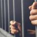طعنات أنهت حياته.. إحالة 3 أشقاء للمفتي في جريمة هزت مغاغة -  أقرأ 24