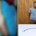 ضبط شخص تعدى على نجل شقيقه بسلسلة حديد بدعوة تأديبه في الحوامدية - أقرأ 24