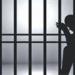 سقوط عاطل وتاجر خردة بعد سرقة لافتة إرشادية بالعجوزة وبيعها مقابل مبلغ زهيد -  أقرأ 24