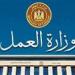 وزارة العمل تعلن عن 85 فرصة عمل بالإسماعيلية من بينها وظائف لذوي الهمم -  أقرأ 24
