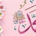 مدى صحة أن كل فعل تركه النبي ﷺ يكون محرما - أقرأ 24