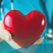 من النبض إلى أدق الأشعة.. فحوصات القلب خطوة بخطوة - أقرأ 24