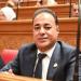 سعيد العماري: ثورة 30 يونيو أنقذت الدولة وحمت سيناء من مخططات استهدفت أمنها - أقرأ 24