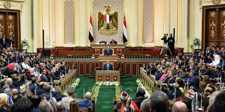 طلب إحاطة بالبرلمان لحجب هذه المنصة في مصر - اقرأ 24