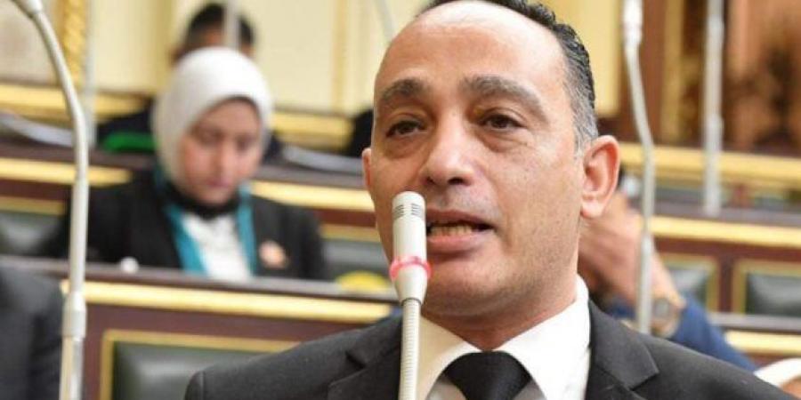النائب فريدي البياضي لـ " تحيا مصر": مسارحديثي الولادة خطوة إيجابية ونطالب بـ ضمان تطبيقه فعليًا في كل المحافظات -  أقرأ 24