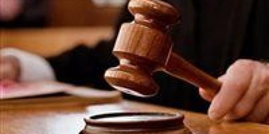 المشدد 10 سنوات لرجل أعمال في قضية الهروب الجماعي من مصحة المريوطية -  أقرأ 24