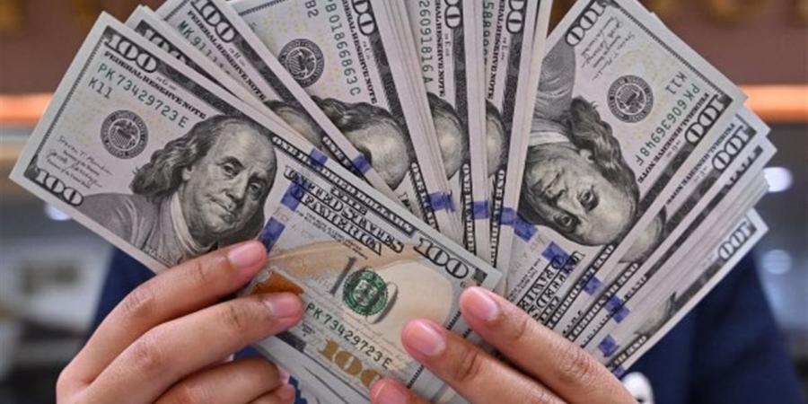 استقرار.. سعر الدولار مقابل الجنيه المصري اليوم الثلاثاء 2 يونيو 2026 - أقرأ 24