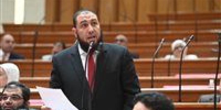 نائب النور يتقدم بطلب إحاطة لوزير الزراعة بشأن منع صرف أسمدة المحاصيل البستانية وارتفاع أسعارها بالسوق السوداء -  أقرأ 24