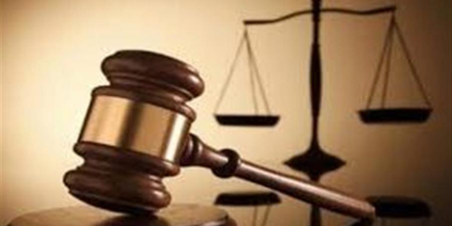 تأجيل محاكمة 29 متهما بـ"خلية العملة" لجلسة 5 سبتمبر للمرافعة - أقرأ 24