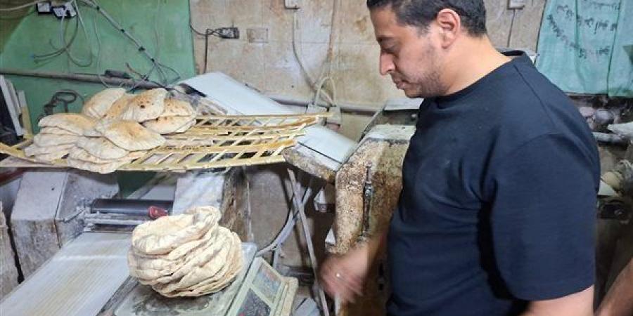 22 محضر تمويني خلال حملات مكبرة بكفر الزيات وبسيون - أقرأ 24
