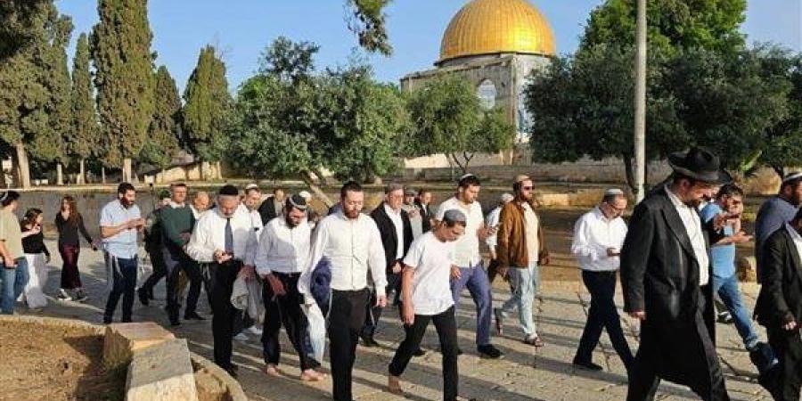 عاجل..الكويت تدين اقتحام مستوطنين متطرفين للمسجد الأقصى - أقرأ 24