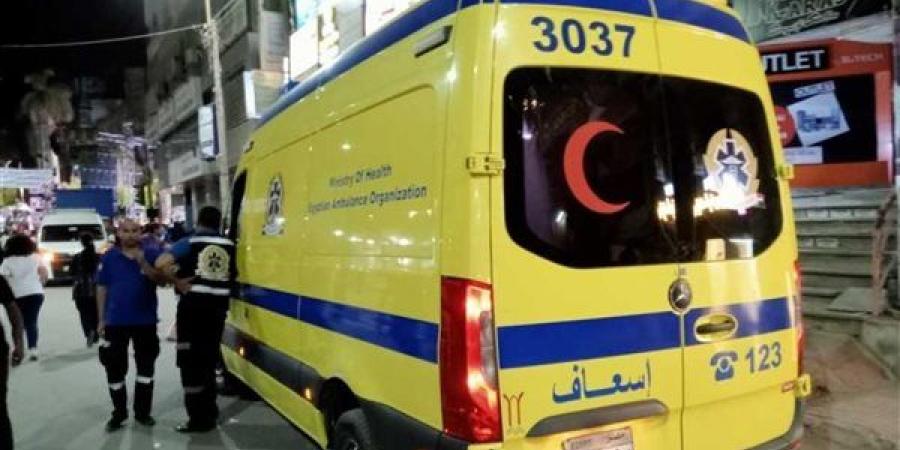 نجاة الركاب وإصابة السائق.. انقلاب سيارة ميكروباص داخل مصرف بالفيوم - أقرأ 24