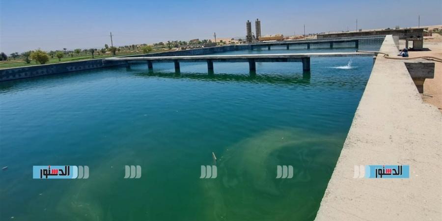 "مياه القناة" تدعم محطات مياه الشرب بـ35 جهاز قياس عكارة لتعزيز منظومة الجودة - أقرأ 24