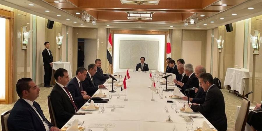 وزير الخارجية يلتقي مجلس الأعمال المصري–الياباني - أقرأ 24
