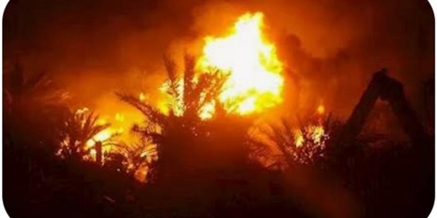الحماية المدنية تسيطر على حريق بمزرعة نخيل بقرية الجديدة في الوادي الجديد - أقرأ 24