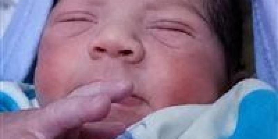 انخفاض غير مسبوق في المواليد.. هل تغيرت نظرة الأجيال الجديدة للزواج؟ -  أقرأ 24