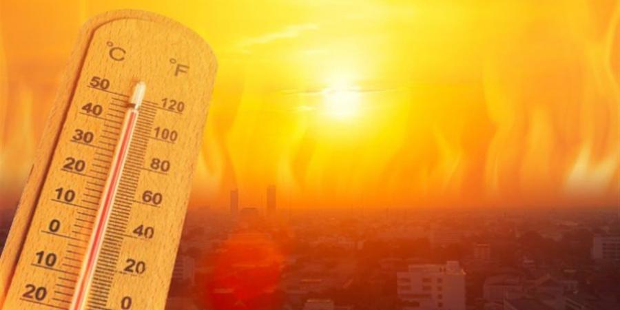 حالة الطقس في الشرقية اليوم الخميس 4 يونيو - أقرأ 24