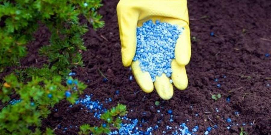 متحدث الزراعة يكشف حقيقة وقف صرف الأسمدة المدعمة لبعض المحاصيل - أقرأ 24