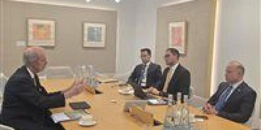 وزير الاستثمار يبحث مع رئيس ASC Water and Energy توطين حلول الطاقة والمياه وجذب استثمارات الشركة لمصر -  أقرأ 24