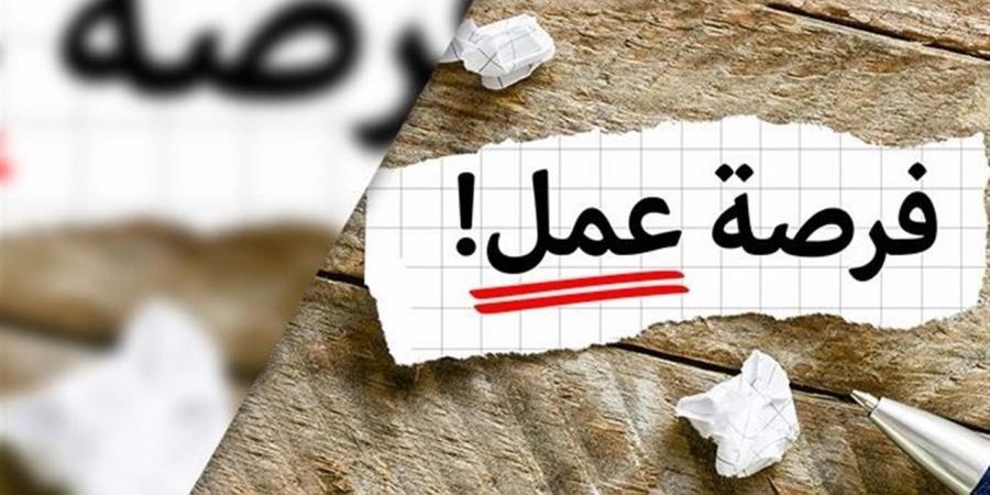 "عمل الإسماعيلية" توفر 10 فرص عمل جديدة لذوي الهمم بالقطاع الخاص - أقرأ 24