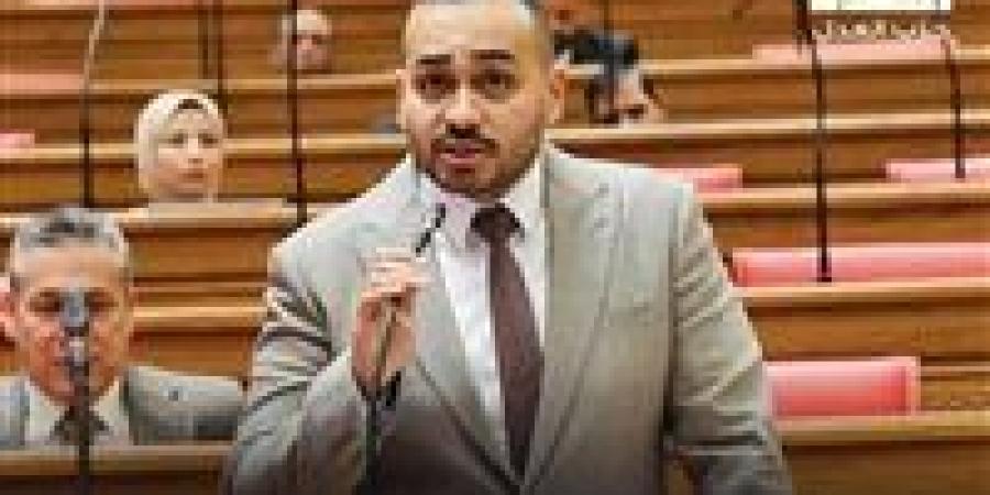 النائب أحمد ناصر يتقدم بطلب إحاطة بشأن جدوى المناطق الحرة الخدمية وأثرها على تنمية صادرات الخدمات -  أقرأ 24