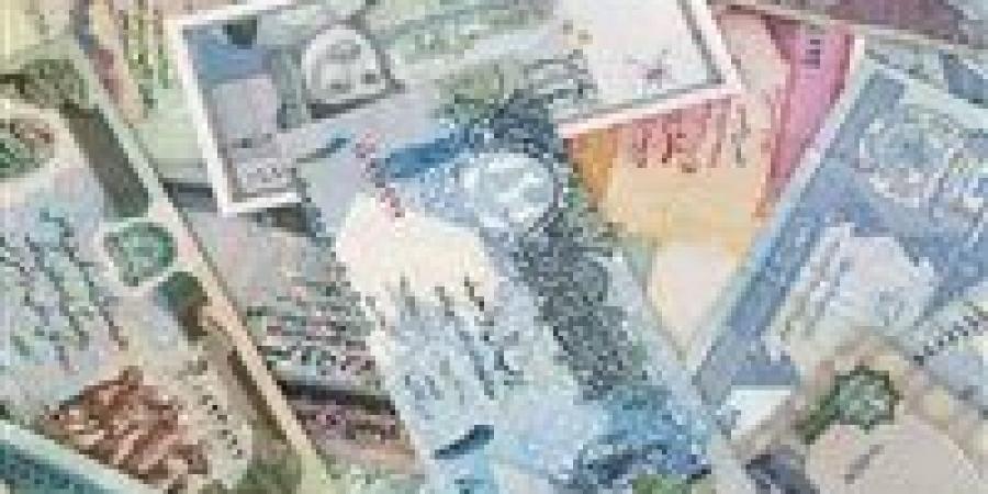 3 ملايين جنيه في قضايا عملة.. ضربات أمنية ضد تجار السوق السوداء للنقد الأجنبي -  أقرأ 24