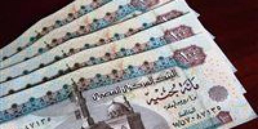 نسبة زيادة المعاشات السنوية وأول موعد للتطبيق -  أقرأ 24