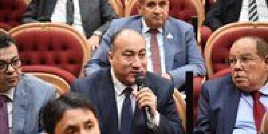 عمرو رشاد يطالب وزير الطيران بتوضيح موقف استئناف الرحلات الروسية.. ويقترح إشاء مدرسة فنية تابعة لمصر للطيران -  أقرأ 24