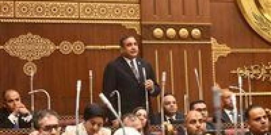 عماد خليل أمام الشيوخ: الخطة طموحة ونطالب بآليات لتنفيذ مستهدفات الصادرات وتدريب العمالة لأسواق أوروبا والخليج -  أقرأ 24