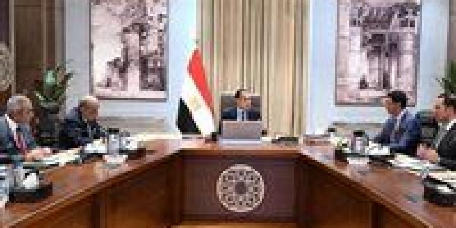 رئيس الوزراء يكلف بعرض الصورة النهائية لمبادرة تشجيع تركيب الواح الطاقة الشمسية بالمصانع والمنازل -  أقرأ 24
