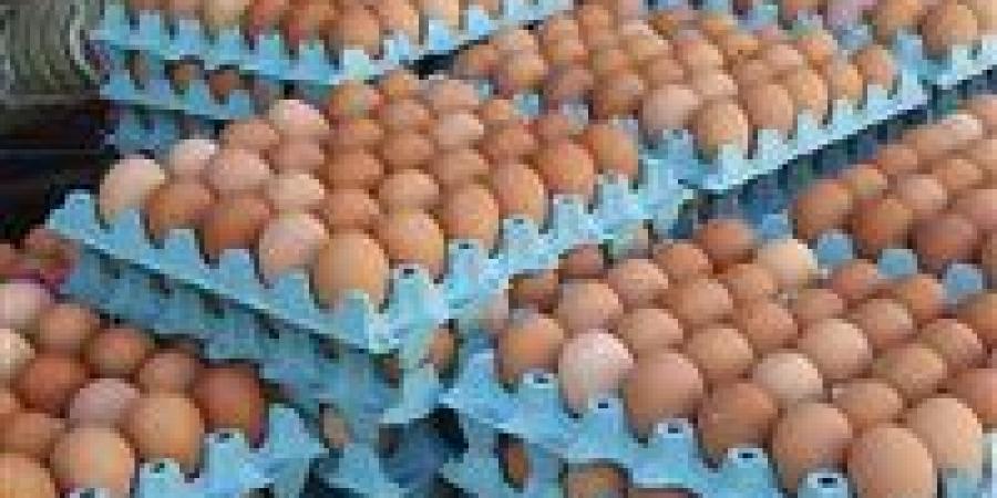 رئيس شعبة البيض: تجاوزنا الاكتفاء الذاتي بنسبة 40% ونبحث آليات التصدير -  أقرأ 24