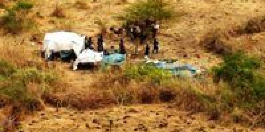 أوضاع كارثية تواجه مئات الأسر.. معاناة النازحين مع دخول «الخريف» في السودان -  أقرأ 24