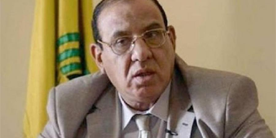 عبد القوي: الدولة تدعم توسيع دور المجتمع المدني ورفع كفاءته المؤسسية - أقرأ 24