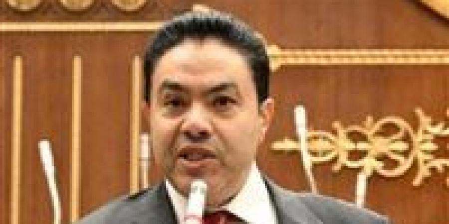 الشرقاوي: حماية المستهلك المصري يجب أن تظل أولوية عند التوسع في تصدير الدواجن -  أقرأ 24