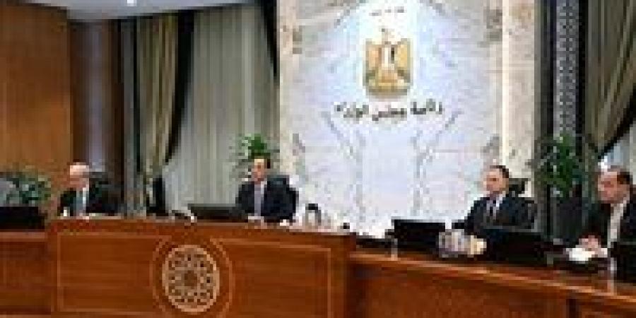 مدبولي: توريد 4.6 مليون طن قمح رقم تاريخي.. وسداد مستحقات شركاء البترول والغاز بالكامل لأول مرة منذ سنوات -  أقرأ 24
