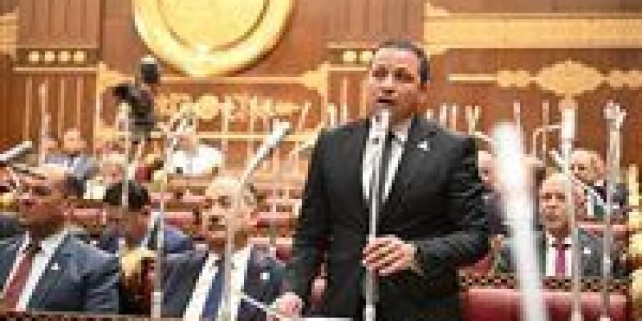 النائب عادل السكري يشيد باستجابة الحكومة لمقترحاته بالتيسير  على المواطنين في ملف العدادات الكودية -  أقرأ 24