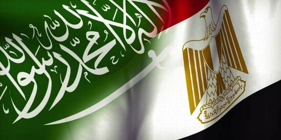 وزير الخارجية: تنسيق مصري سعودي لحماية أمن البحر الأحمر - أقرأ 24