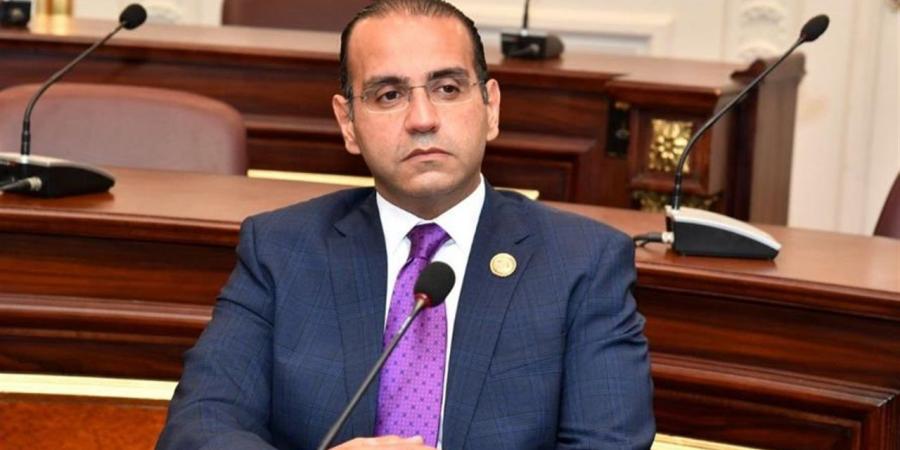 نائب: مصر تقود جهودًا متوازنة لترسيخ الاستقرار في المنطقة - أقرأ 24