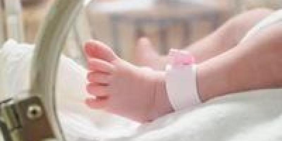 4 اشخاص مسؤولة لضمان تسجيل رسمي خلال 15 يوما.. قانون الطفل ينظم الإبلاغ عن المواليد -  أقرأ 24